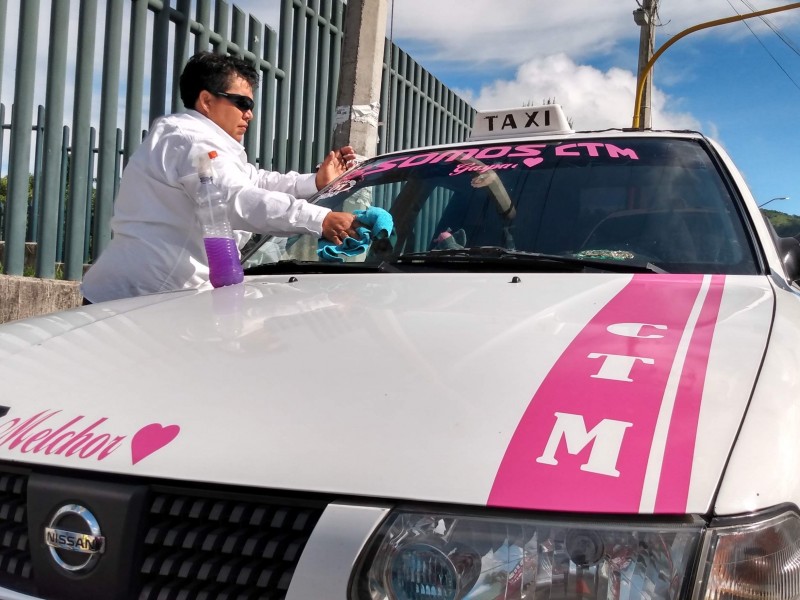 Ayuntamiento solicita mayor número de taxis violeta por periodo vacacional