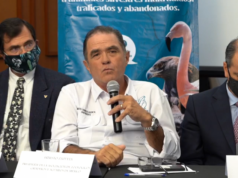 AZCARM ADVIERTE QUE PODRÍA AUMENTAR EL TRÁFICO DE ESPECIES