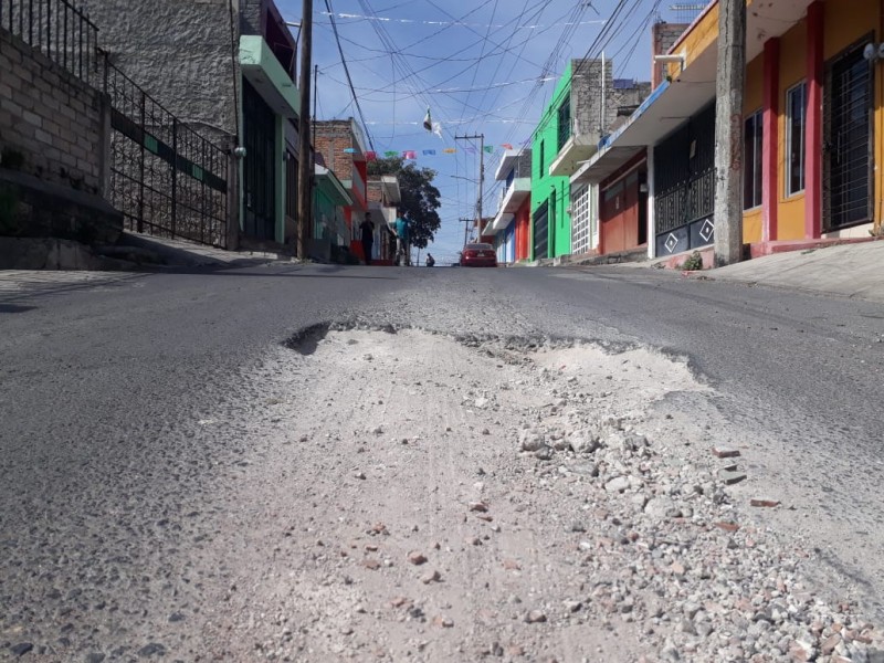 Bache en el olvido desde hace 2 años