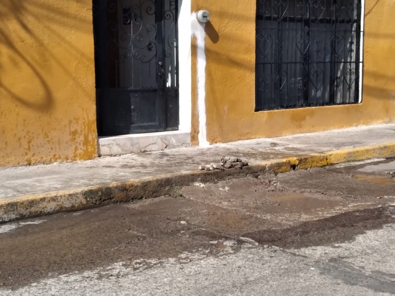 Bache provoca daños en finca de calle Zapata