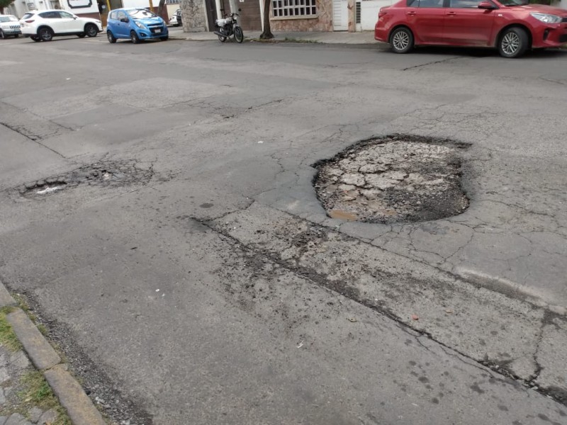 Bache sin ser atendido en Chula Vista