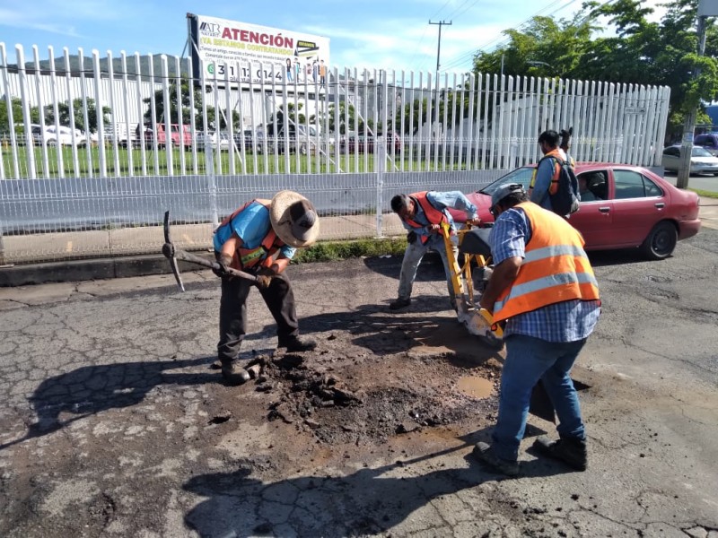 Bachean avenida Emilio M. González