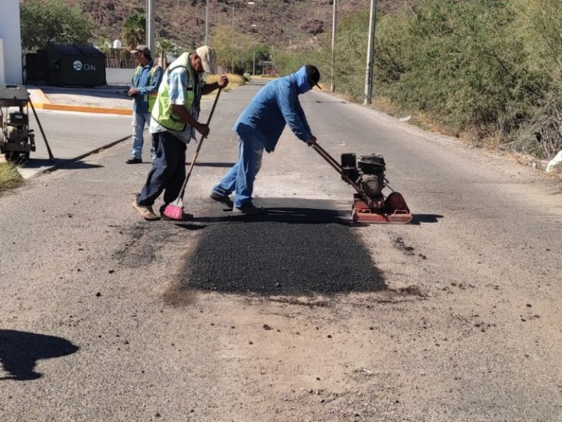 Bachean Guaymas Norte y San Carlos