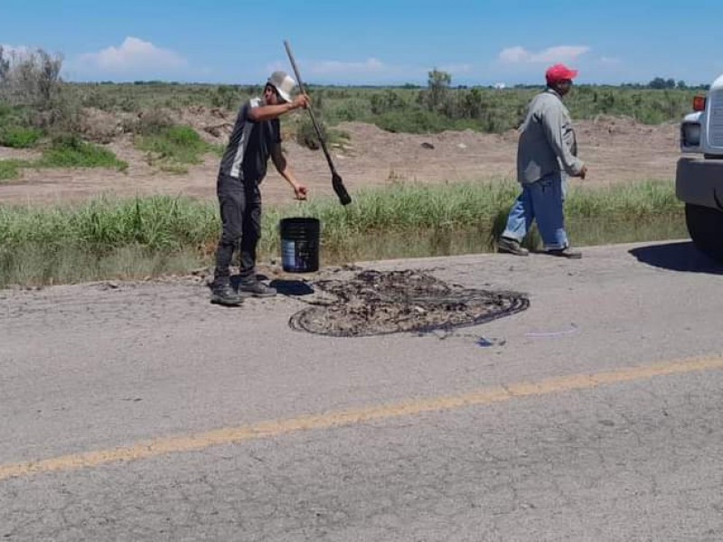 Bacheo en Guasave fluirá si el clima lo permite