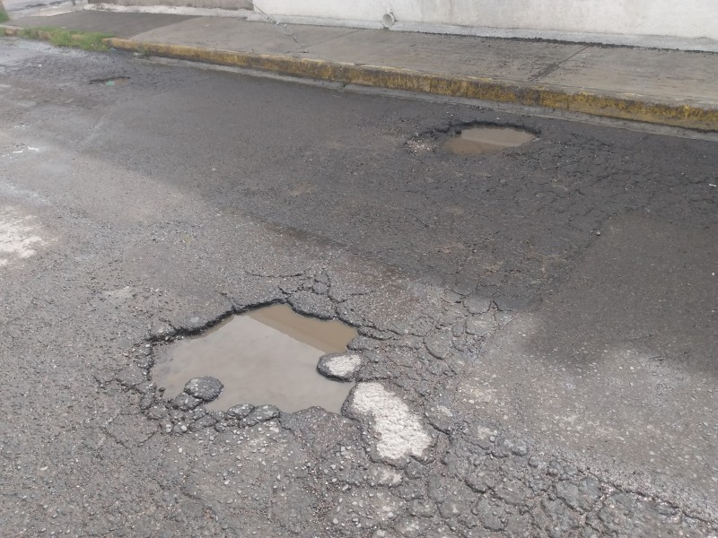 Baches al por mayor en la 18 Norte-Xonaca