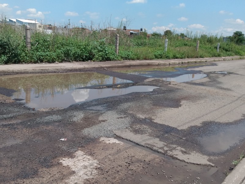 Baches aparecen en Valtierrilla