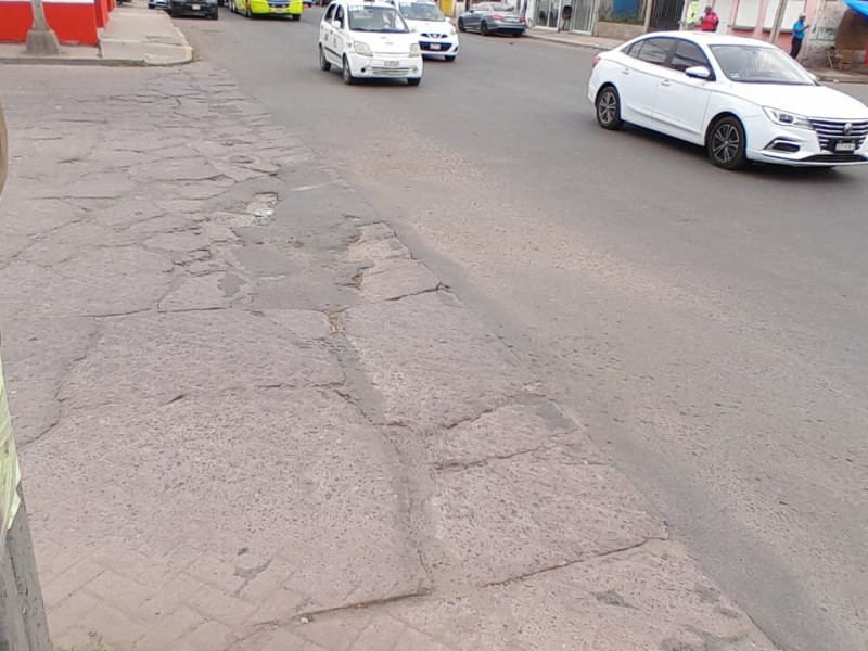 Baches en colima y teresa de calcuta