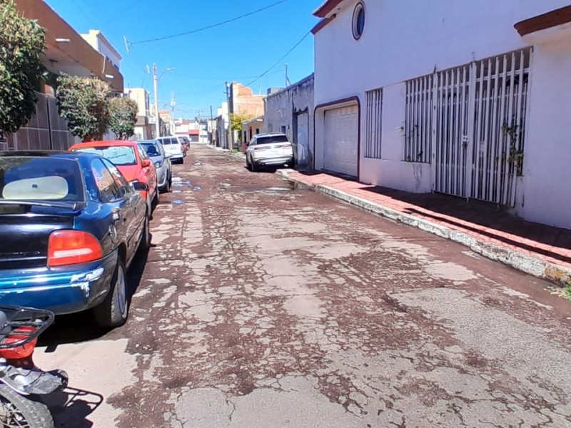 Baches en privada paloma