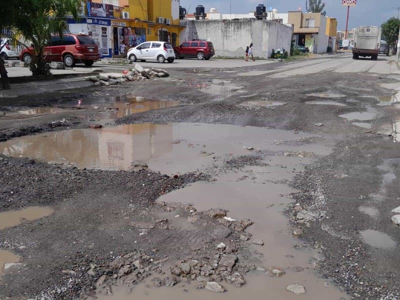 Baches eternos en la ciudad de Veracruz
