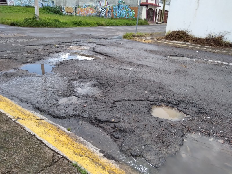 Baches han permanecido sin reparación por 20 años