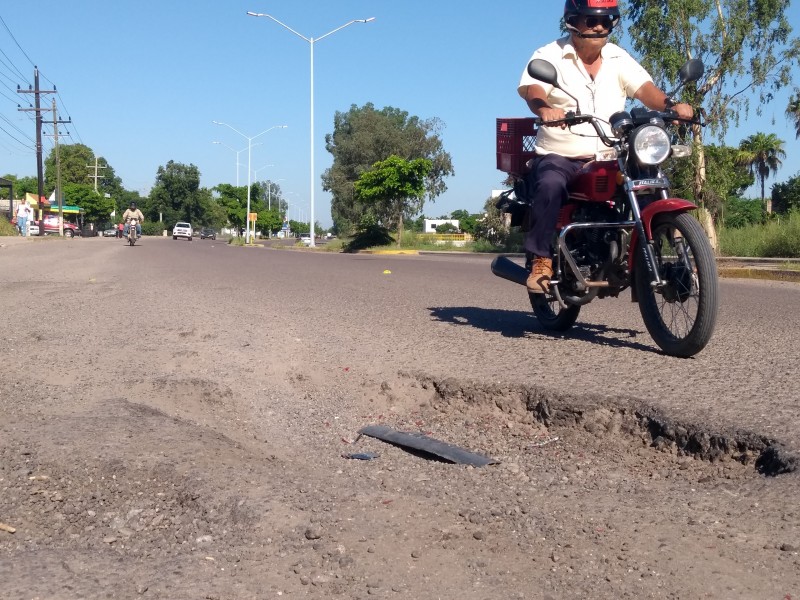 Baches no están siendo atacados dice CANIRAC