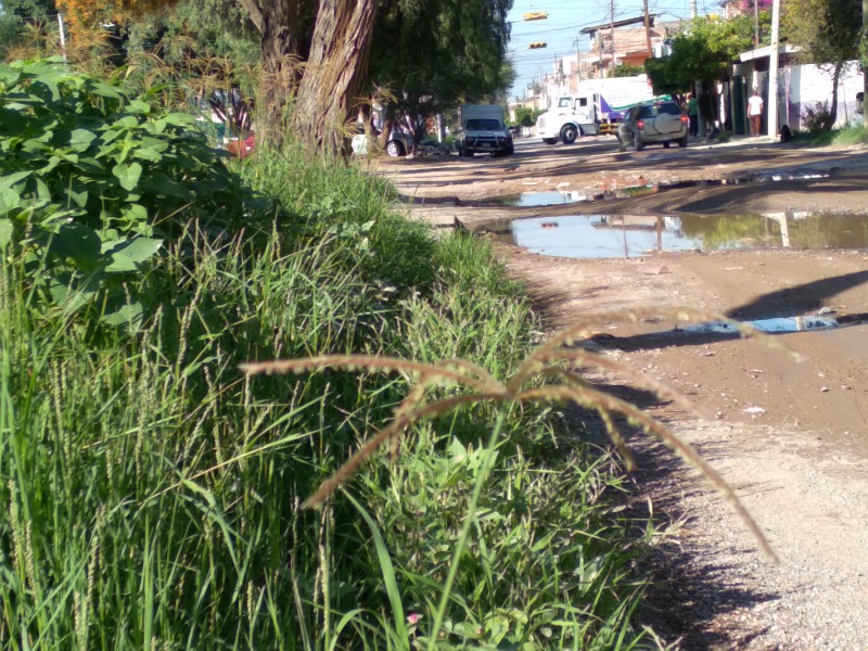 Baches y hierba crecida generan inseguridad en Valle de Señora