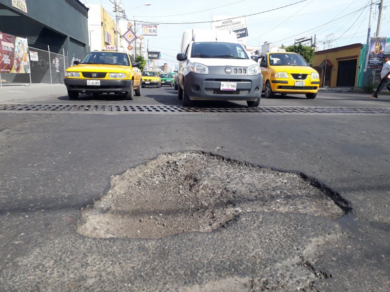 Baches y rejillas; principal problema de Av. Insurgentes