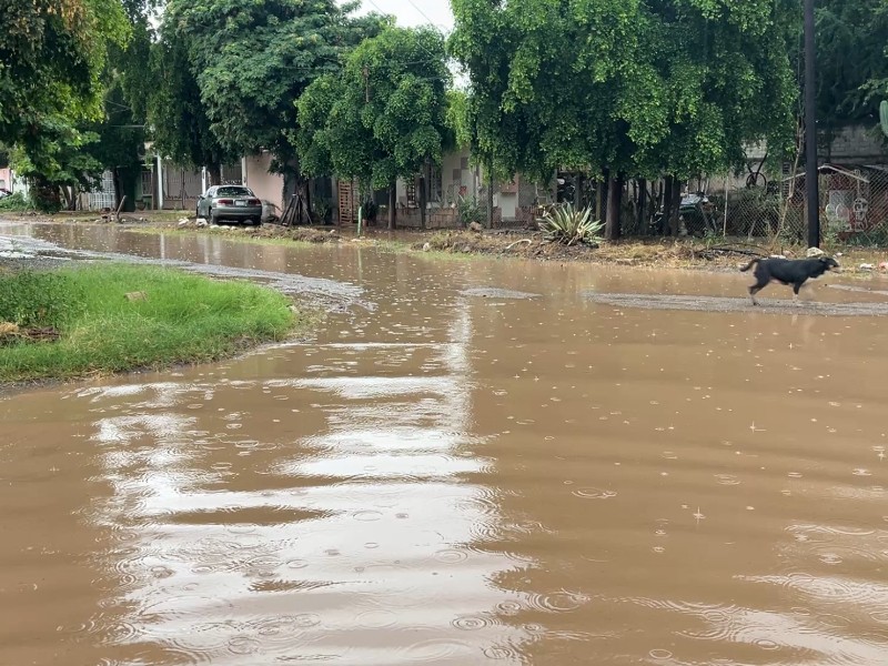 Bachoco encabeza lluvias en Guasave con 66mm de precipitación: AARSP