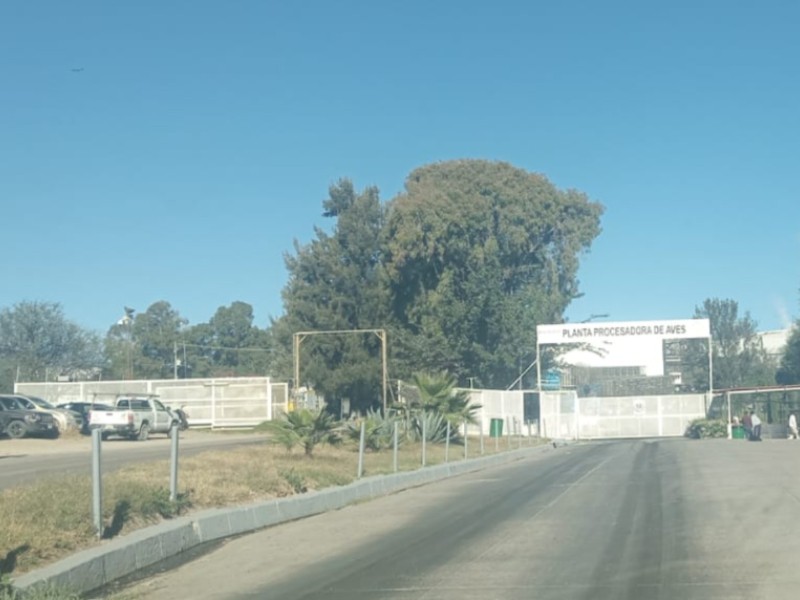 Bachoco libre de bloqueos como el de Maseca