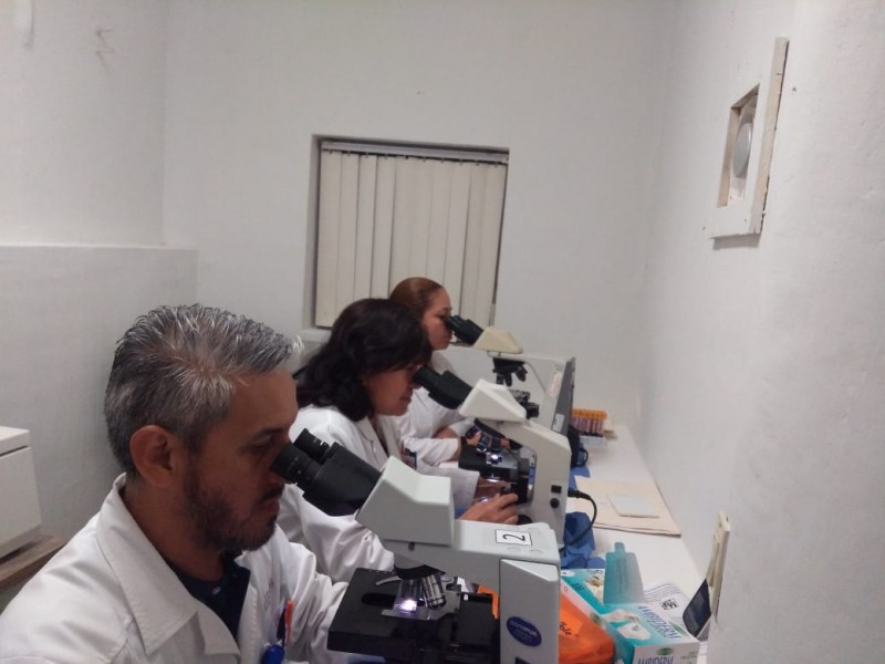 Baja California Sur innova con wolbachia en México