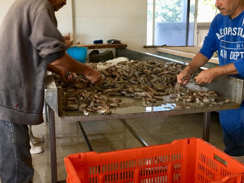 Baja demanda de productos del mar por cierre de restaurantes