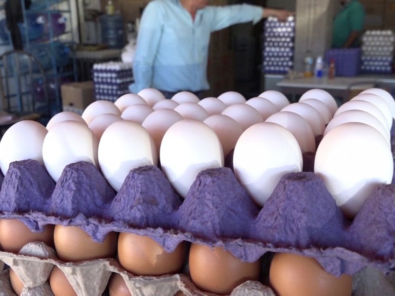 Baja el precio del huevo, hasta $65 la cartera