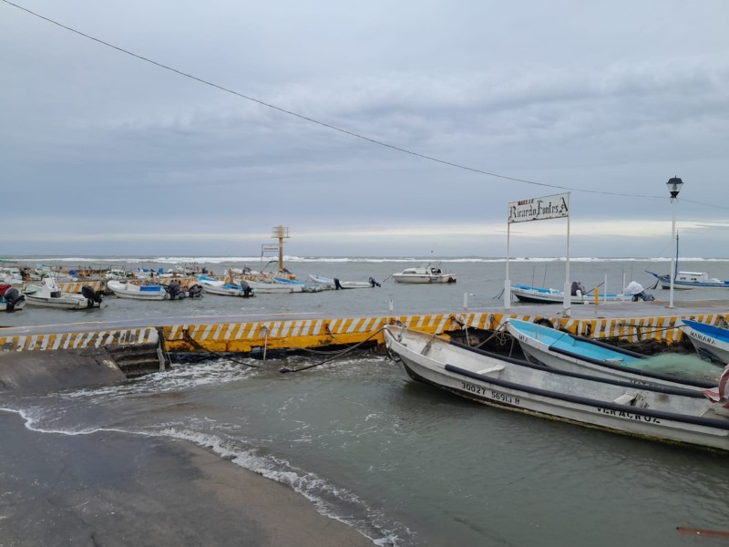 Baja la producción pesquera en Veracruz
