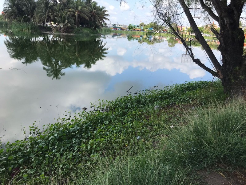 Baja nivel de agua en Laguna Malibrán de Veracruz