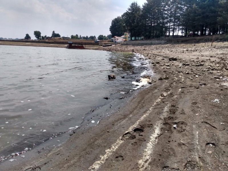 Baja nivel de laguna en parque alameda en Toluca