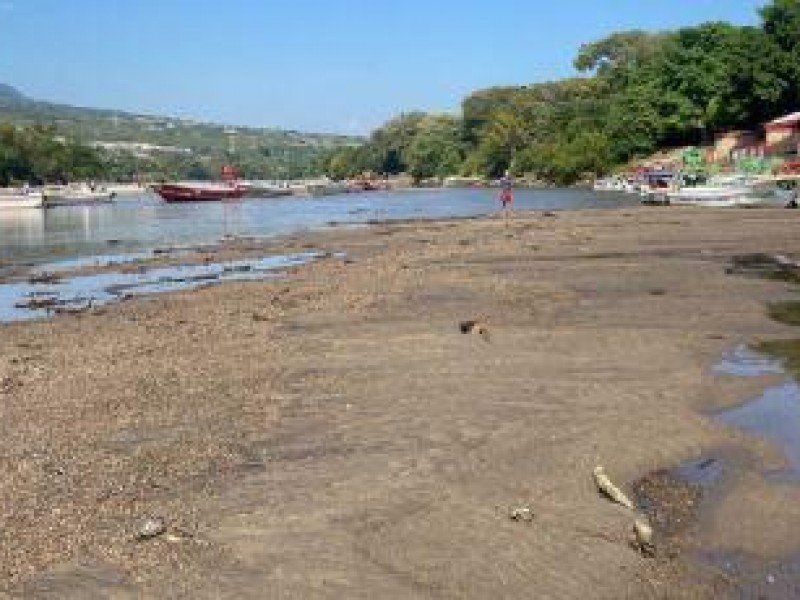 Baja Nivel del Río Grijalva: deja lanchas varadas