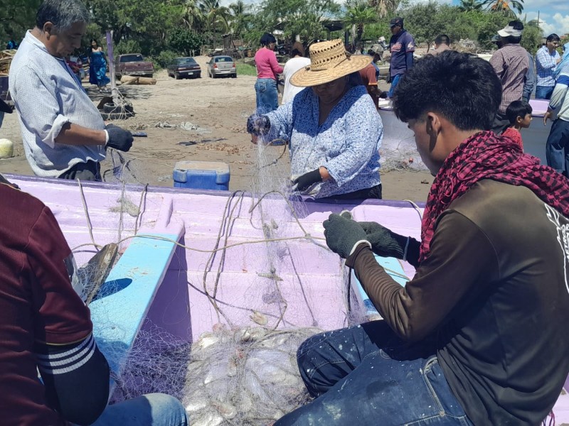 Baja producción golpea a pescadores de Yavaros; esperan repunte con callo