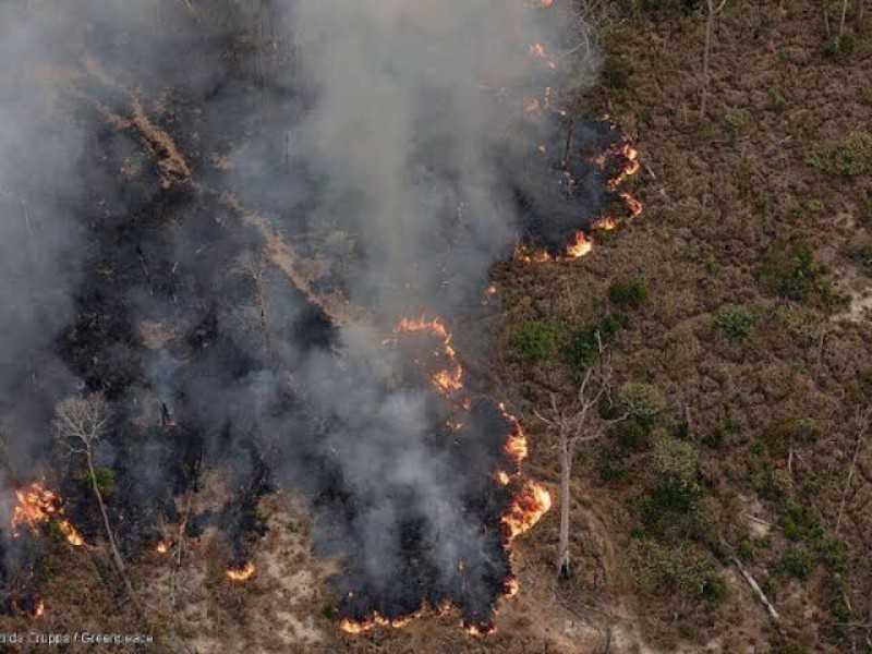 Bajan incendios forestales en Jalisco