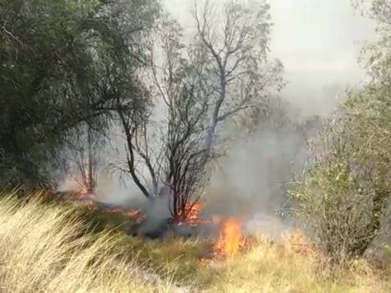 Bajan los incendios forestales en 2022