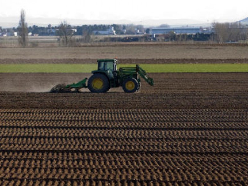 Bajará producción de alimentos por falta de agua