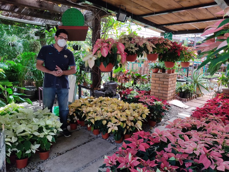 Bajas las ventas de nochebuena por pandemia COVID-19