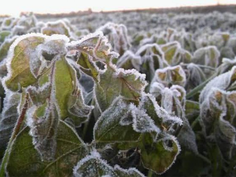 Bajas temperaturas continúaran en el estado