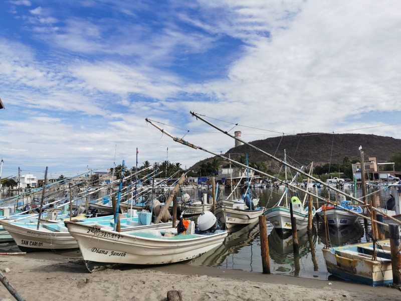 Bajas temperaturas desploman capturas de camarón en puerto de Topolobampo