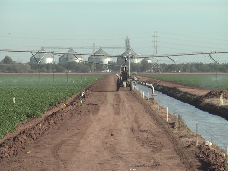 Bajas temperaturas incrementa necesidad de agua en cultivos