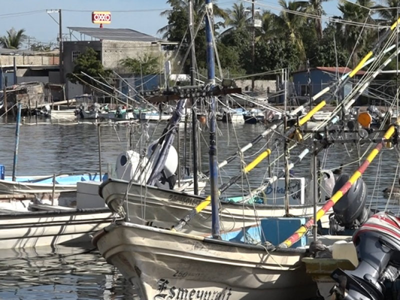 Bajas temperaturas paralizan la pesca en Topolobampo