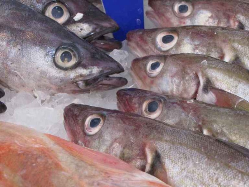 Bajas ventas en pescaderías locales