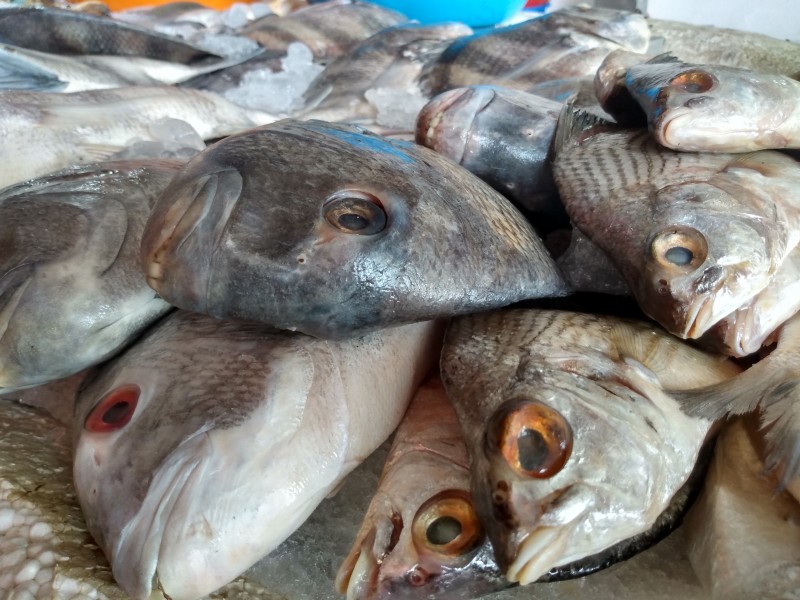 Bajas ventas reportan pescaderías y marisquerías de mercados