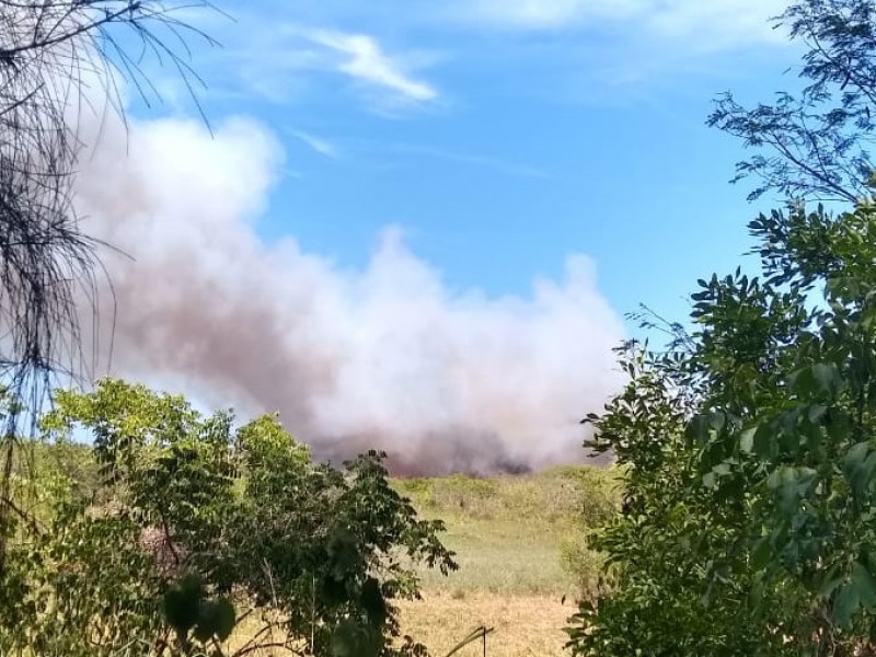 Bajo control, incendio de pastizales en Tuxpan