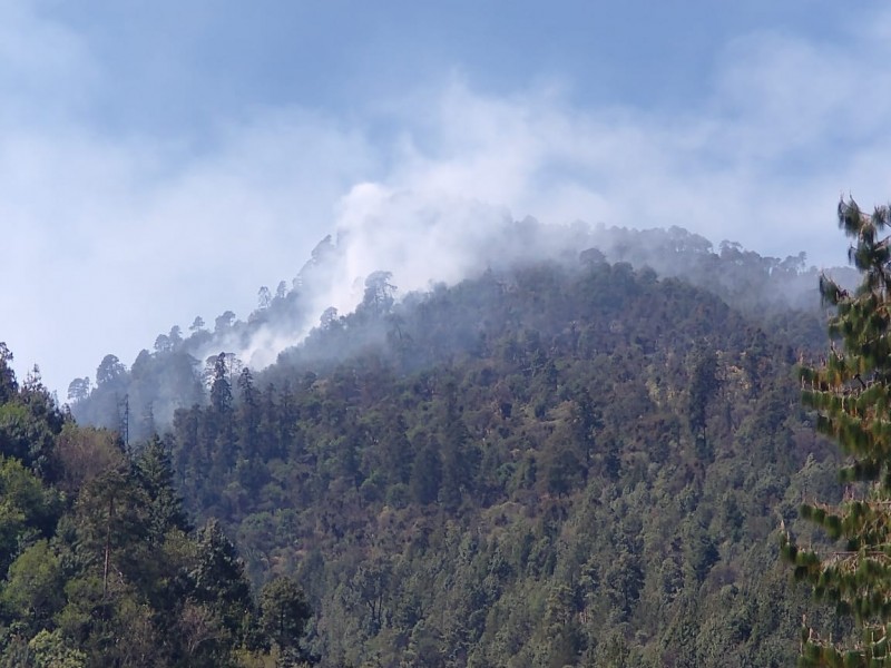 Bajo control incendios forestales en Veracruz