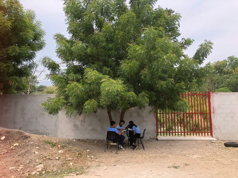 Bajo dos árboles reciben clases niños de primaria chiapaneca