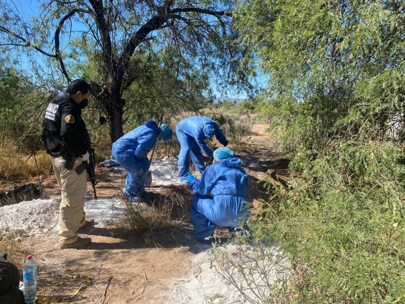Bajo investigación  restos encontrados en Guaymas y Hermosillo Sonora