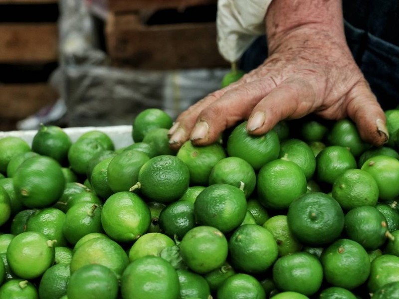 Bajos precios en el limón son por temporada, señala Gobernador