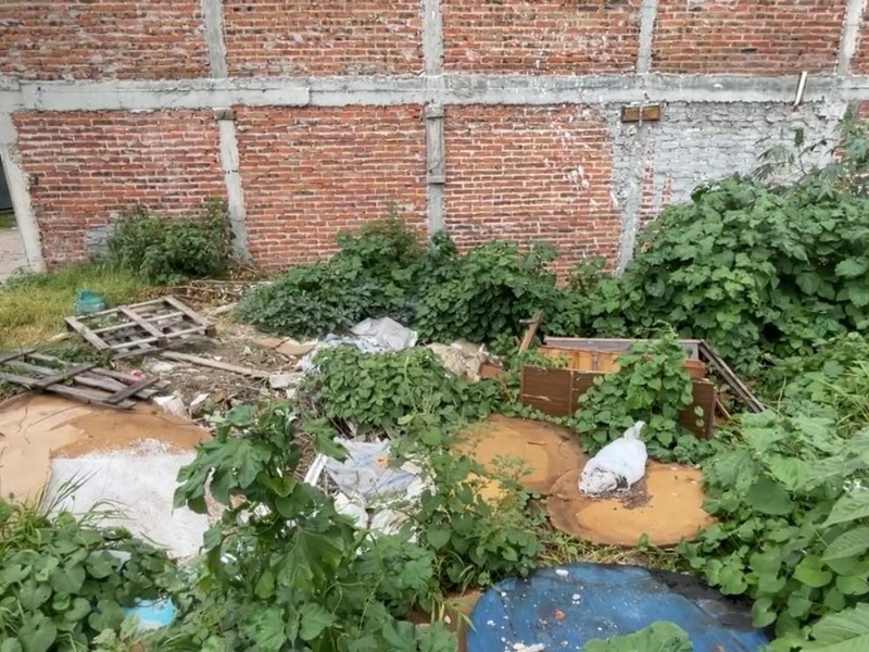 Baldío en El Progreso es foco de basura, plagas y miedo