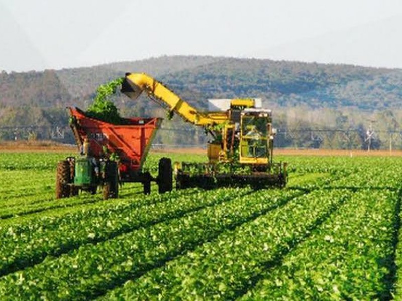 Banco Mundial advierte posible crisis alimentaria global