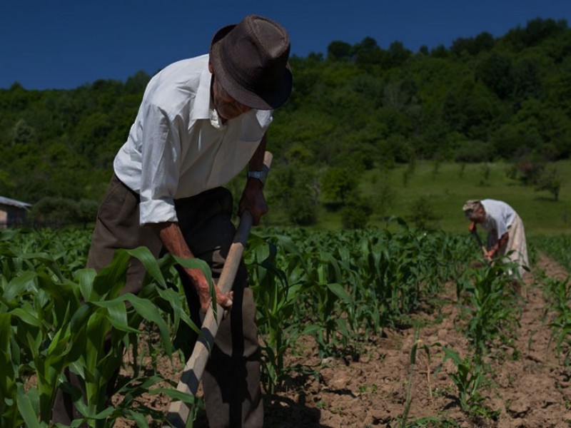 Bancos con disposición de crédito para campesinos