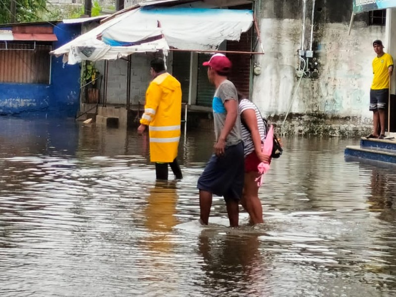 Barda colapsada, árboles y postes caídos e inundaciones por lluvias