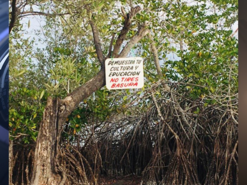 Barra de Potosí, llena de basura otra vez