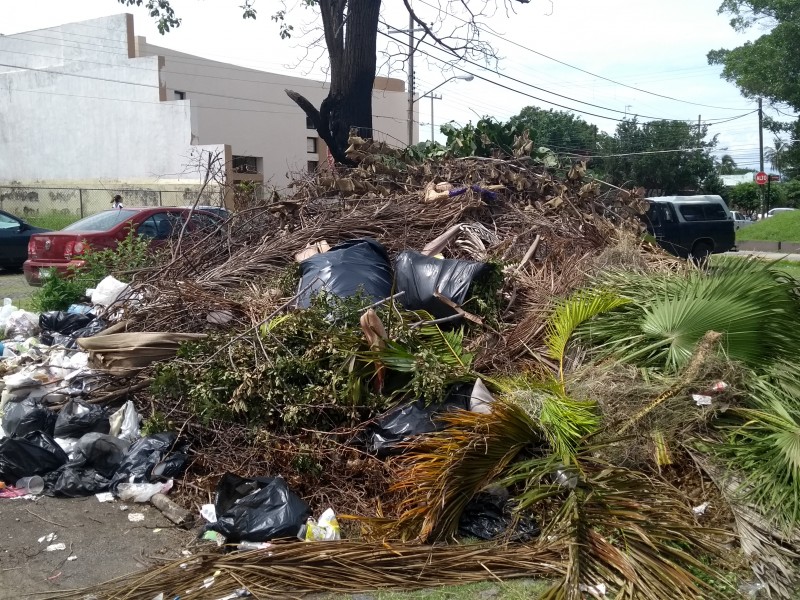 Basura acumulada en Casa de la Cultura