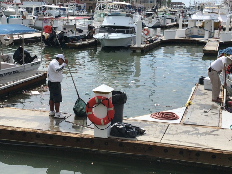 Basura afecta espejo de agua de la Marina