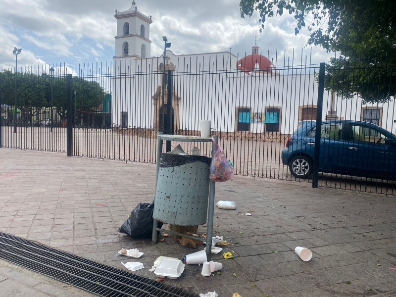 Basura da mal aspecto a jardín del Coecillo